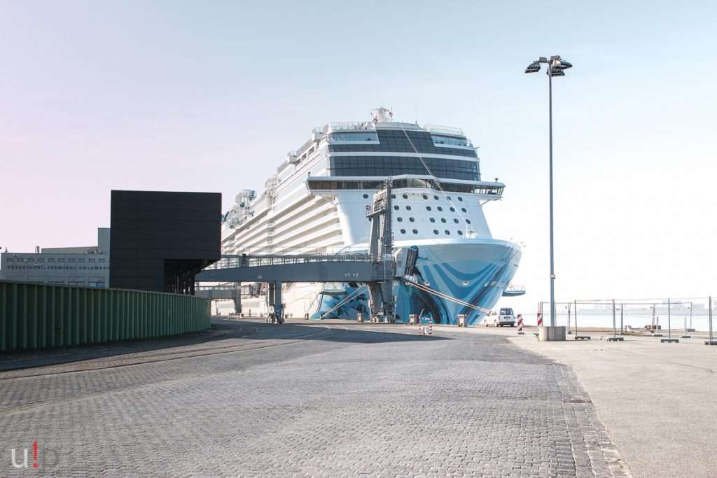 Norwegian Bliss