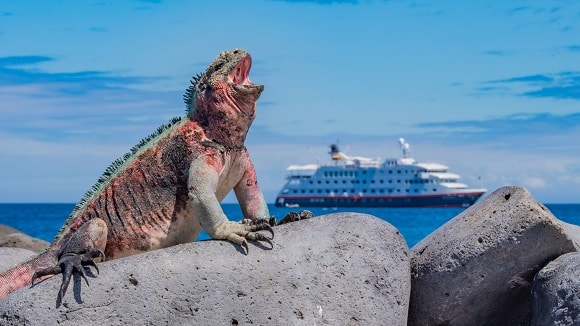 Hurtigruten erweitert Partnerschaft mit Reiseunternehmen für die Galapagos-Inseln