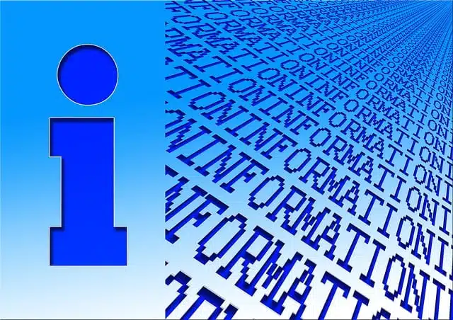 die erste Kreuzfahrt