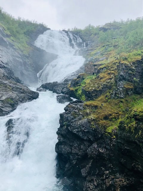 Reisebericht Teil 4 – Der Norden ruft: mit der MSC-Euribia nach Norwegen – „I love Norway.“