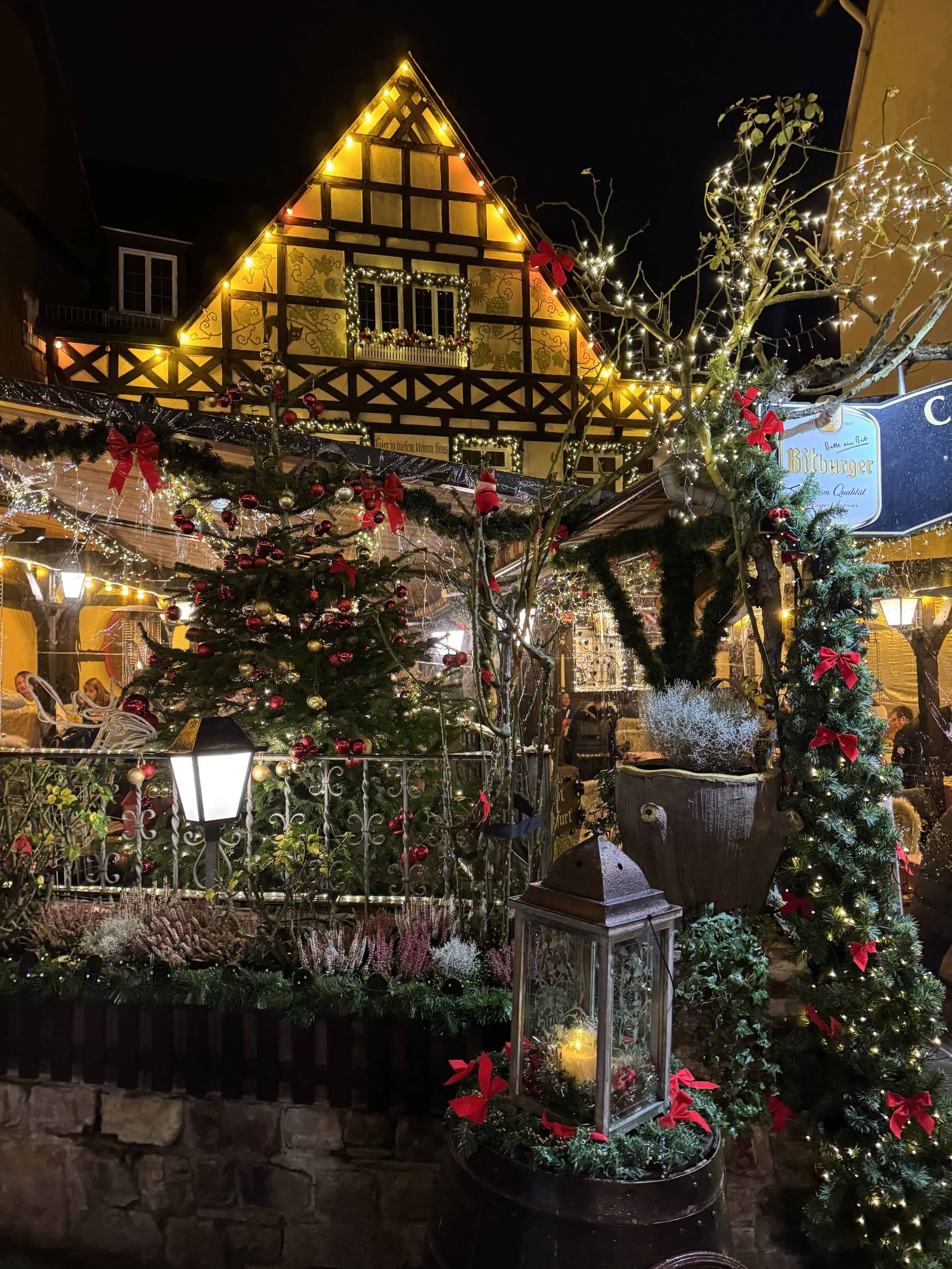Teil 2: Reisebericht MS Asara – Service, Kulinarik und Weihnachtsmärkte