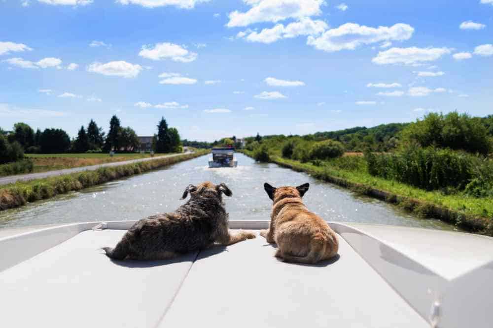 HausbootUrlaub mit hund
