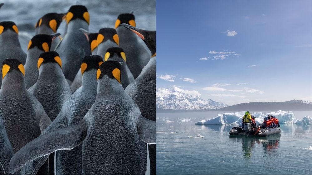 HX Expeditions 2028/29: 26 neue Routen nach Grönland, Antarktis und Alaska